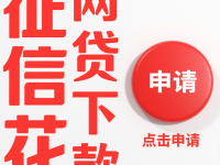 2026年征信大数据乱下款