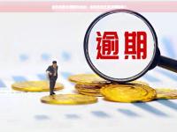 江苏征信查询系统使用指南与操作步骤(众安贷逾期还不上怎么办？5个实用解决方法与风险提醒)