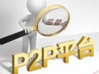 2026年贷款理财必看：权威业务宣传平台全攻略(2025年网贷平台贷款量趋势与理财策略分析)