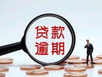 2026年贷款平台纠纷如何投诉？最全维权渠道解析(安逸花周末放款吗？)